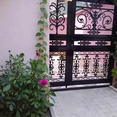 Стаи За Гости Калина 1 Jambol